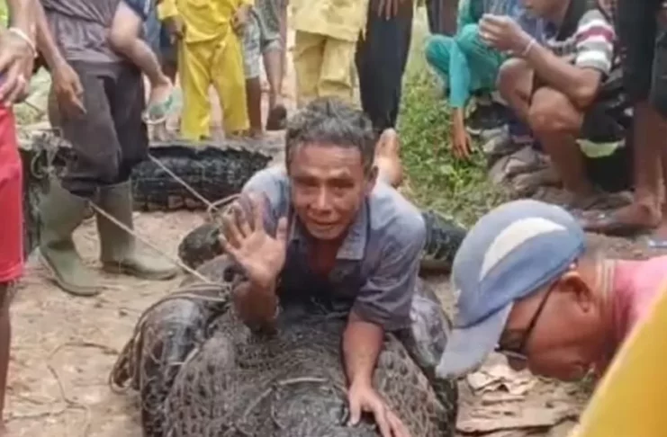 IMG-20251031-WA0043-24471239