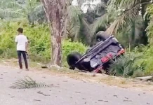 Mobil Dinas Wakil Ketua DPRD Bengkalis Kecelakaan, Korban Luka Serius